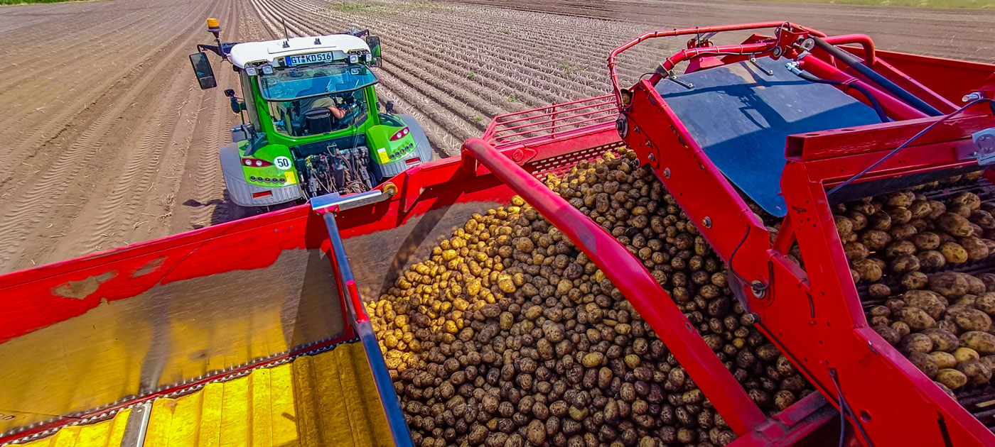 Traktor und Erntemaschine im Einsatz bei der Erndte von Kartoffeln auf einem Feld.